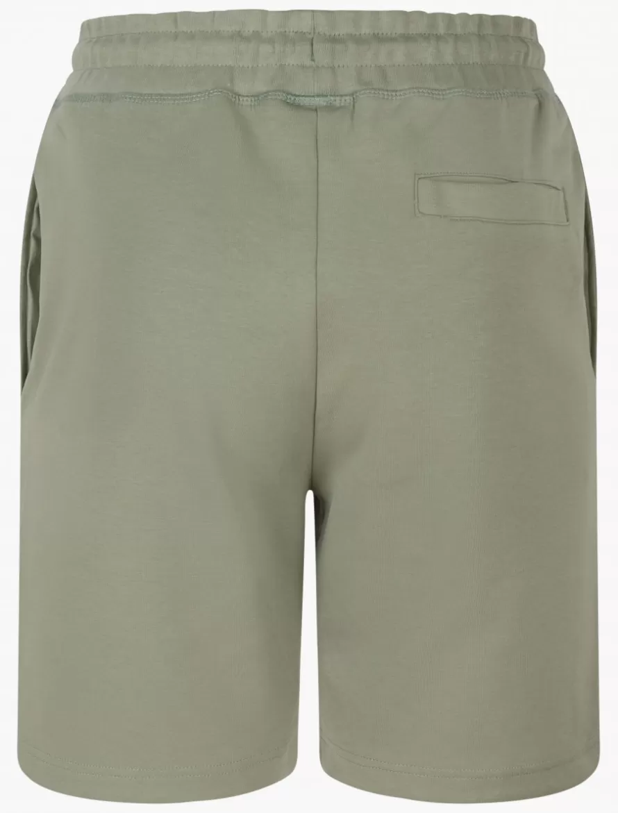 Cavallaro Napoli Shorts>Sport Shorts Groen